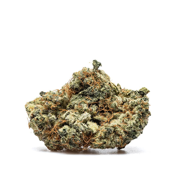 Fleur CBD+ Payton – Indoor Hydroponie