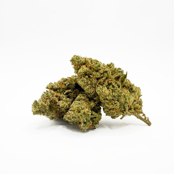 Fleur CBD+ Amnesia US – Indoor Hydroponie