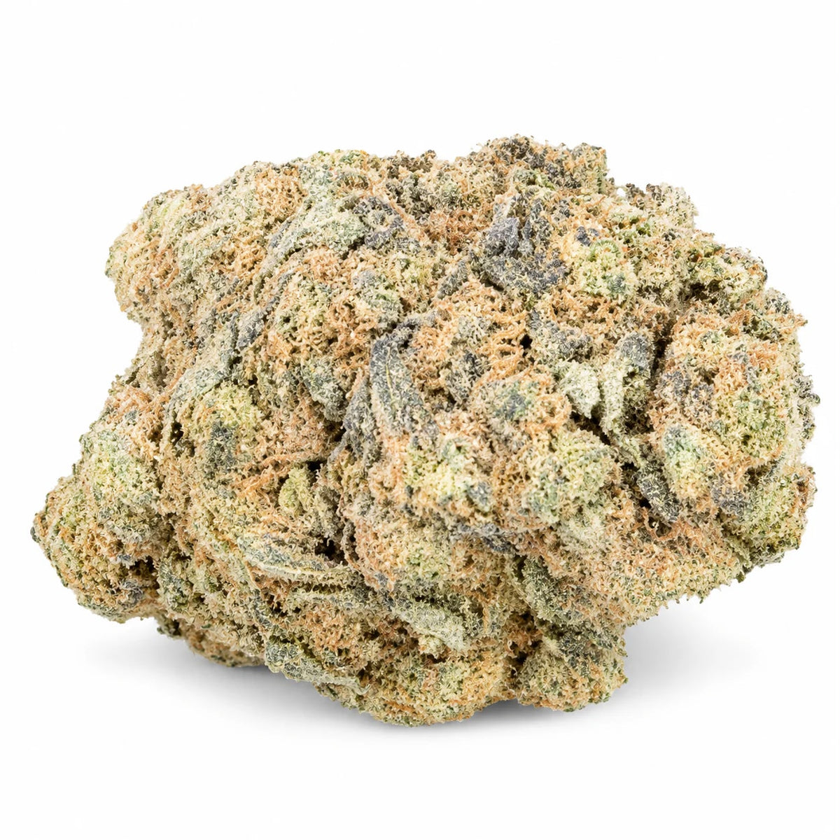 Fleur CBD+ Banana x Berry – Indoor Hydroponie