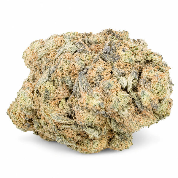 Fleur CBD+ Banana Smash – Indoor Hydroponie