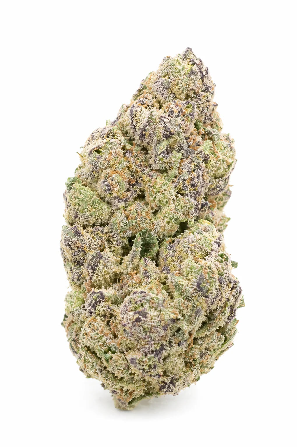 Fleur CBD+ Blueberry – Indoor Hydroponie