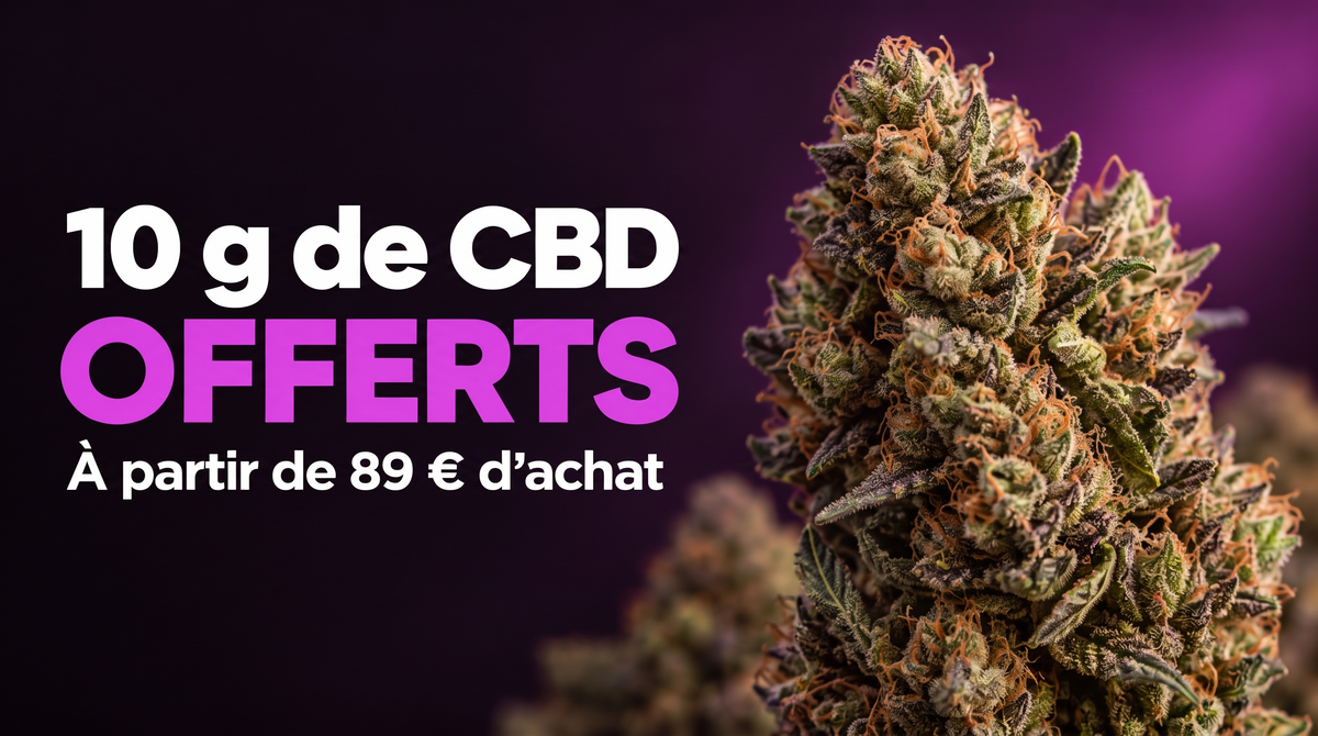 The Dream — 10 g de CBD offerts à partir de 89 € d’achat